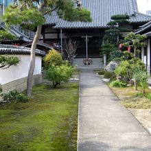 本堂に続く境内の苔に覆われた道