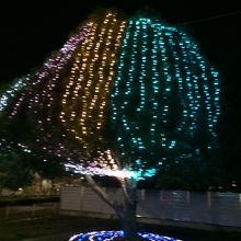 うっとりのイルミネーション