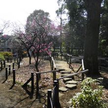 公園内