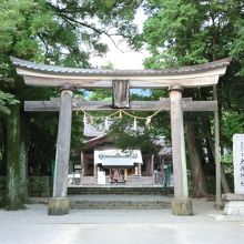 土佐神社。入口から何だか風格を感じます。