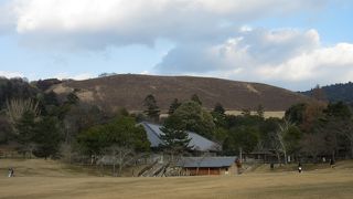 芝生で覆われた緑の山 ♪