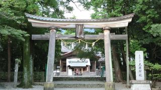 善楽寺の隣にある土佐神社