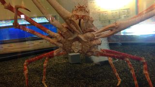 無料の施設だから及第点