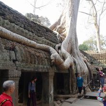 有名な撮影スポット。