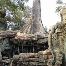 押しつぶされないよう下から支えている。