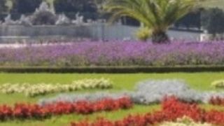 とにかく広い！