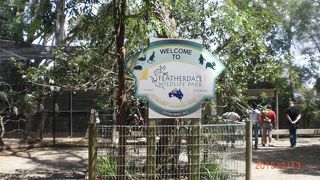 思いの他良かったです！！