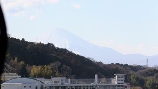 早春の静けさと散歩