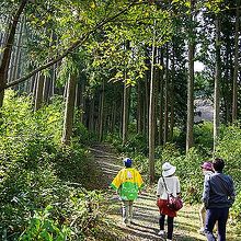 登山道の様子です。