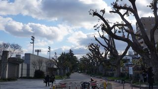 天王寺スポーツセンターや野球場なども