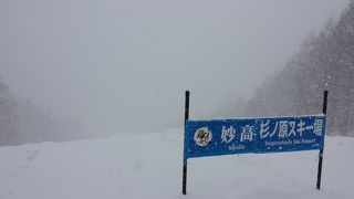ふかふかのスキー場