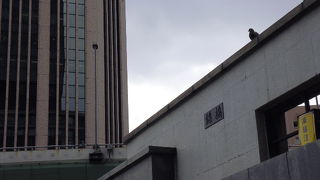 肥後橋そばの橋