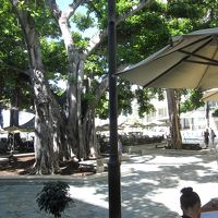 有名な　ザ　ベランダ