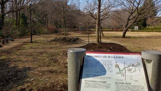 かなり広い寺院群だったようです