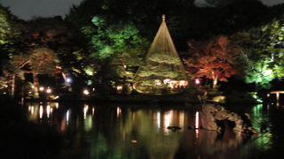 夜のライトアップがきれいです