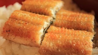 大井川のうなぎ 秀丸