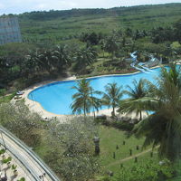 客室から見えるプール