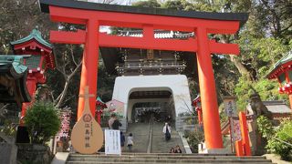 ６０年ぶり江ノ島参拝