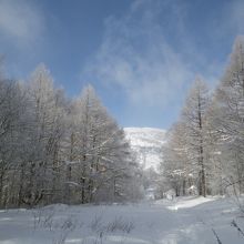 冬の華（樹氷）が美しい