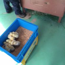 ふれあいコーナー