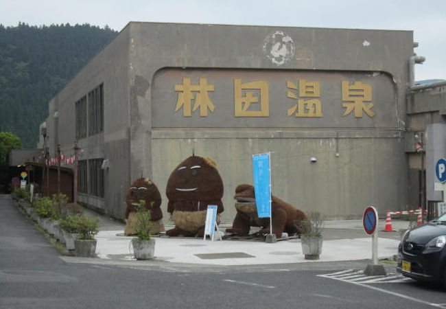 Yahoo!オークション - 鹿児島 霧島 林田温泉大浴場 ご婦人入浴中
