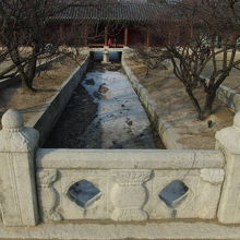 冬季は凍結している水路の様子