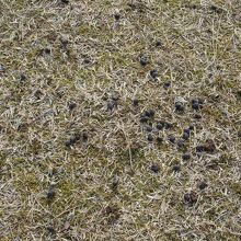 こちらには、ご注意！