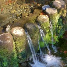 湧水が流れています