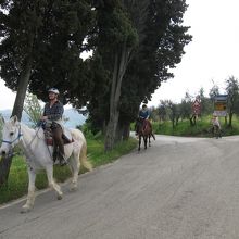 広い敷地内を乗馬