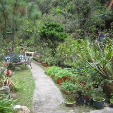 コースの一つは優雅な庭園から始まる