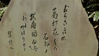 仁王門や薬師堂に歴史を感じます