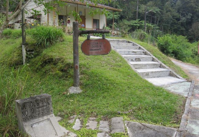 ハイキングから山登りまでいろいろ