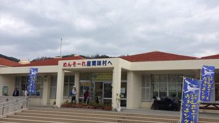 ホエールウォッチングに参加