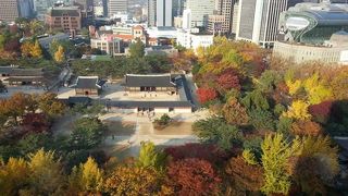 紅葉が素敵です♪