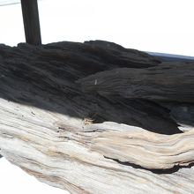 重盛公の松の朽木