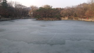 冬季や雨天時は池岸がぬかるんで歩き難いことがあります