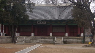 立派な銀杏の木に注目です！