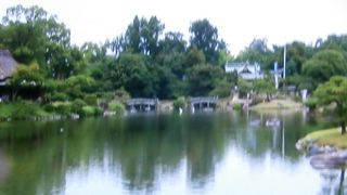 広く豊かな庭園です。