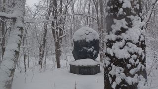 観光客はあまり訪れないが、散歩には良い森の中にある