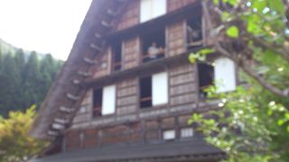 緑の季節もいいですよ