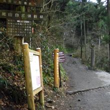 ６号路の登山口です。