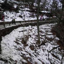 １号路の横にも雪が残っていました。