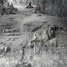 下山道の分岐点です。右が琵琶滝方面、左が高尾病院裏方面です。