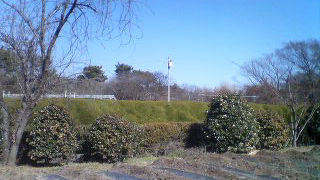 沢山の綺麗な植物が見られる植物園