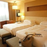 プレミアムツィン