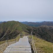 お隣の次郎ぎゅうも立ち寄る事をお勧めします