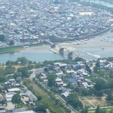 近景の写真が見つからず。。。残念である