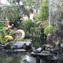 入口横の庭、こってます