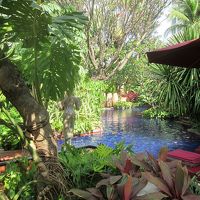 プールはとても雰囲気が良いですよ 