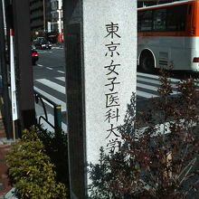 目白通りの西側の歩道沿いです。